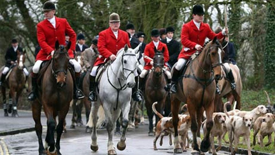 sport hunting should be banned sport hunting should be banned