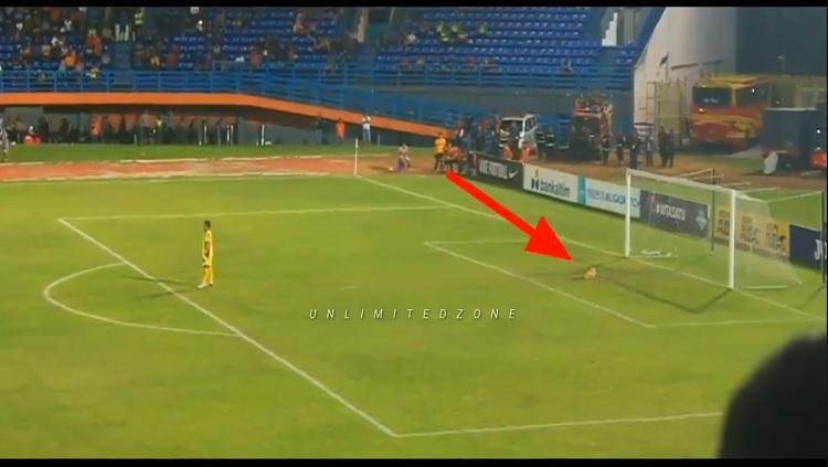Seekor kucing tiba-tiba masuk ke lapangan pertandingan antara Borneo FC vs Persela. - INDOSPORT