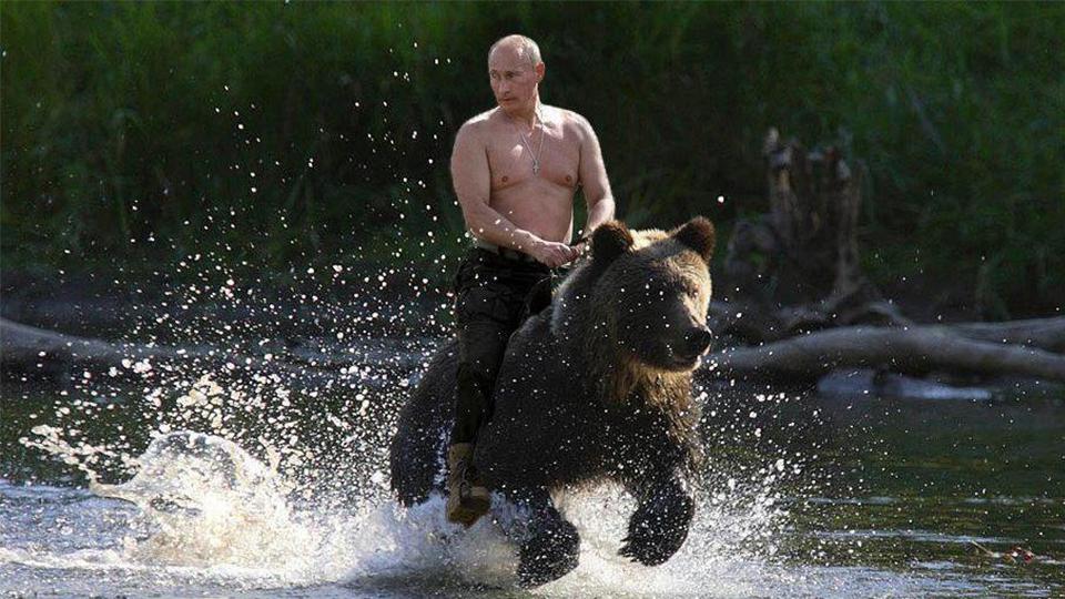 Aksi tunggang beruang yang dilakukan oleh Vladimir Putin. Copyright: INTERNET