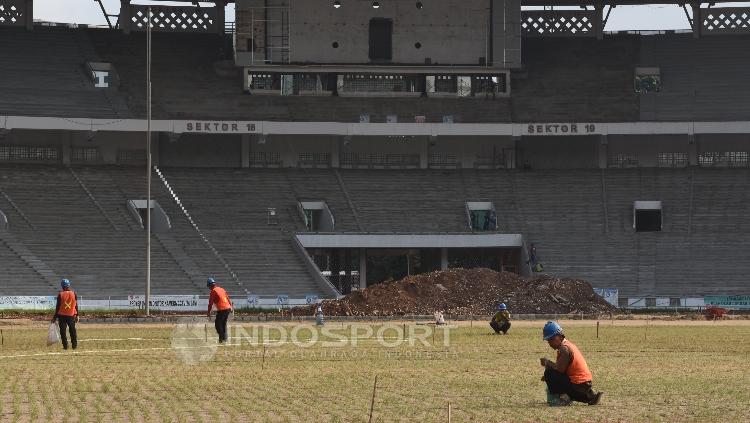 Beberapa pekerja sedang merawat kondisi rumput Stadion GBK.