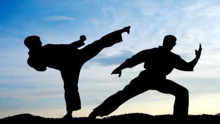 Ilustrasi Pencak Silat.