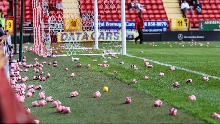 Pendukung Coventry City dan Charlton Athletic melakukan protes dengan melempar babi mainan ke lapangan. - INDOSPORT