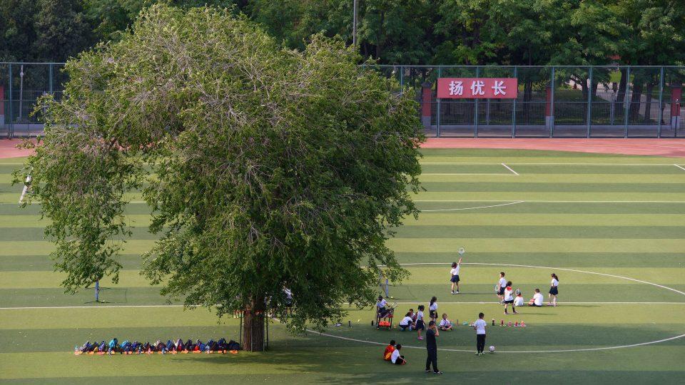 Pohon%20di%20tengah%20lapangan%20sepakbola%20di%20China.