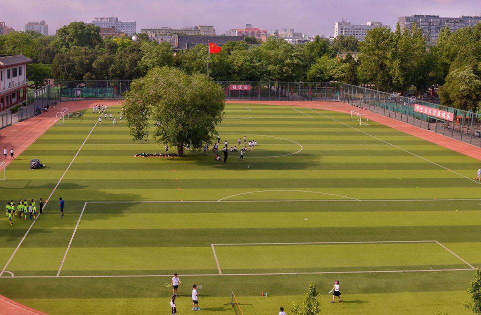 Pohon di tengah lapangan sepakbola di China. Copyright: The Sun