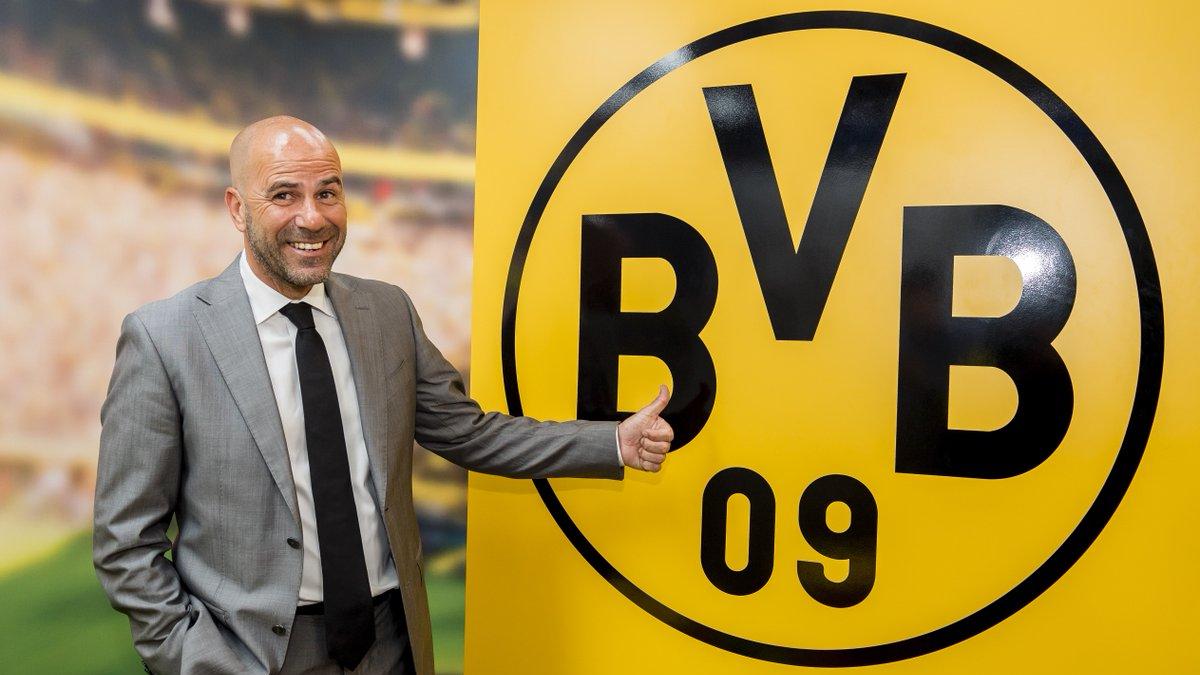Peter Bosz menjadi pelatih baru Borussia Dortmund. Copyright: Twitter/@BVB