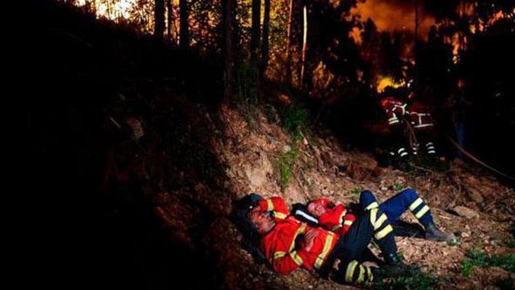 Kebakaran hutan di Portugal Copyright: Dok. BBC