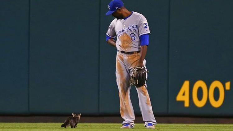 Salah satu pemain Baseball tampak memperhatikan anak kucing yang lewat. Copyright: mirror.co.uk