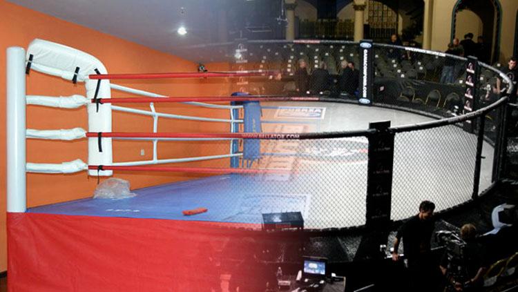 Binaraga cantik Korea Selatan, Chun Li, dibuat tak berdaya saat bagian sensitifnya diserang petarung MMA, Park Hyun Geun, di atas ring, hingga tuai kecaman.