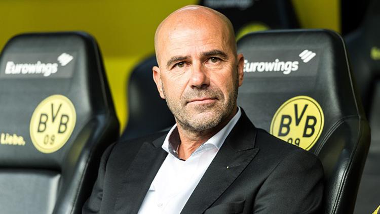 Peter Bosz, pelatih Borussia Dortmund.