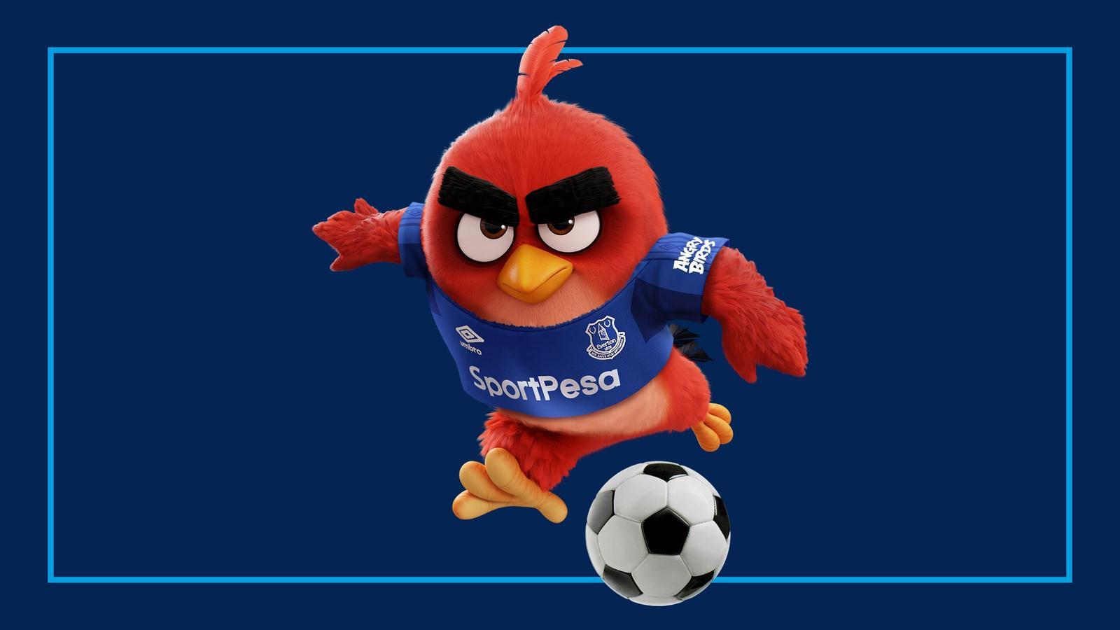 Angry Bird kerja sama dengan Everton. Copyright: Footy Headlines