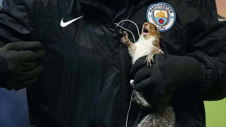 Petugas berhasil mengamankan tupai yang masuk dalam stadion saat laga berlangsung. Copyright: thesun.co.uk