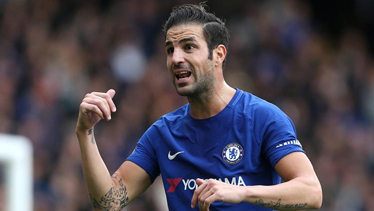 Cesc Fabregas, playmaker Chelsea. Copyright: INDOSPORT