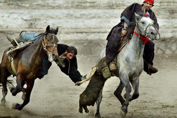 Buzkashi Copyright: Buzkashi / Getty Image