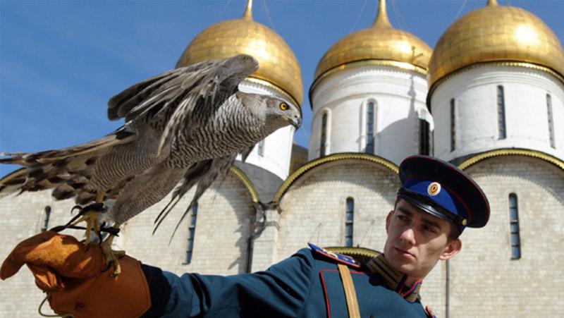 Istana Kremlin mempekerjakan beberapa 'pegawai berbulu' sebagai stafnya elang undian fase grup Piala Dunia 2018.