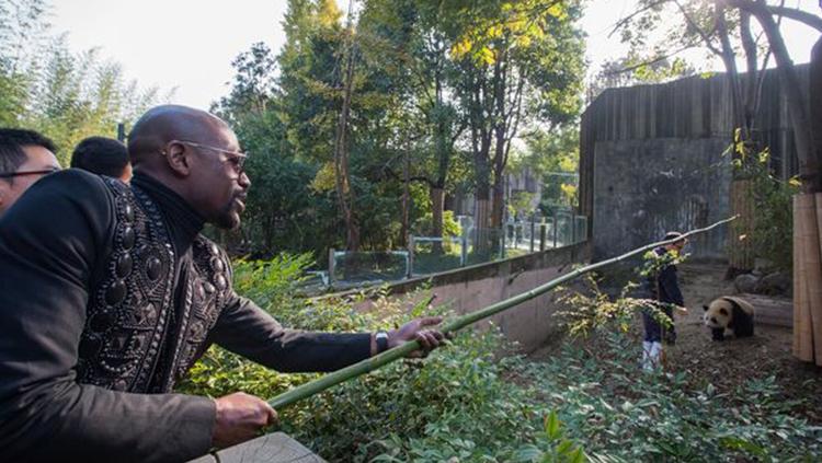 Floyd Mayweather saat memberi makan seekor panda. Copyright: mirror.co.uk