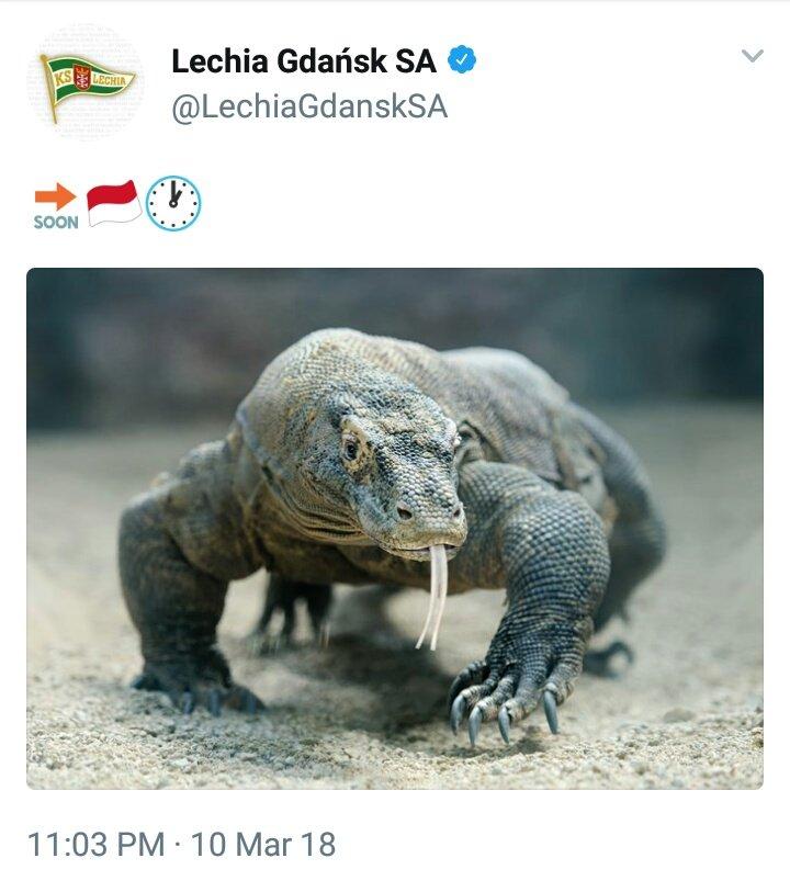 Lechia Gdanks memberikan kode kedatangan Egy Maulana dengan mengunggah gambar binatang purba yang hanya ada di Indonesia, komodo. Copyright: Twitter