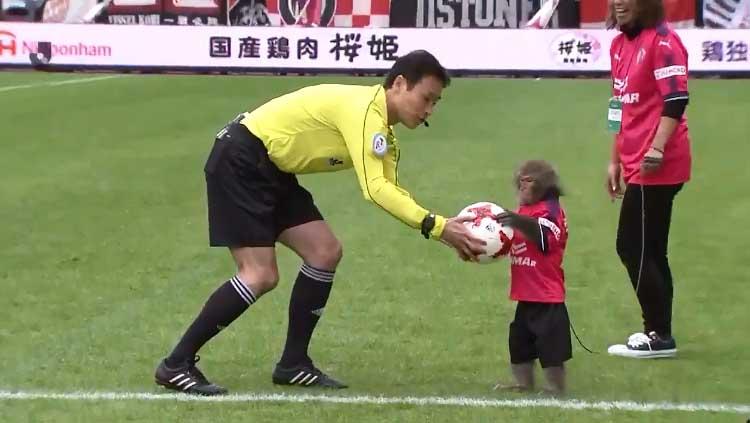 Penampakan Monyet di Liga Jepang. - INDOSPORT