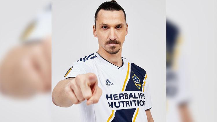 Zlatan Ibrahimovic. - INDOSPORT