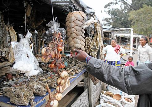 Sihir di sepakbola Afrika Copyright: iol.co.za