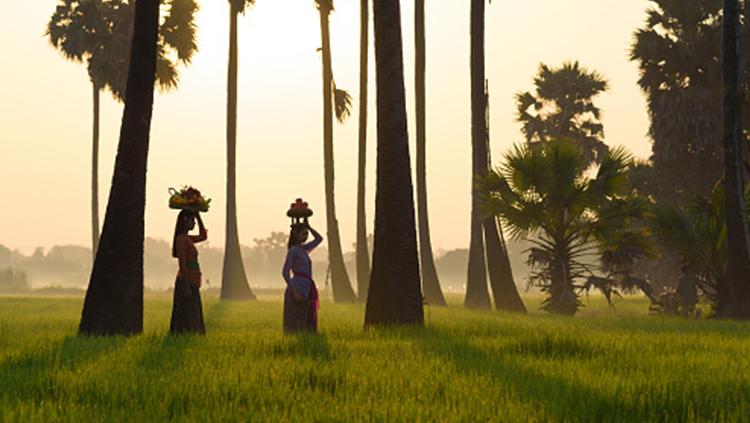 Pemandangan wanita Bali yang sedang membawa sesajen.