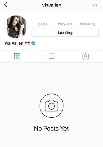 Fokus Asian Games 2018 Via Vallen tutup akun Instagram Copyright: Instagram/@viavallen