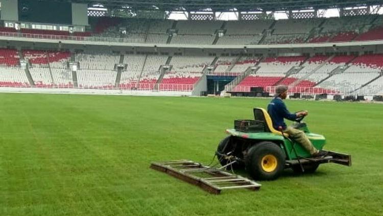 Seorang pekerja sedang melakukan proses brush treatment terhadap rumput GBK. Copyright: Instagram.com/Love_GBK