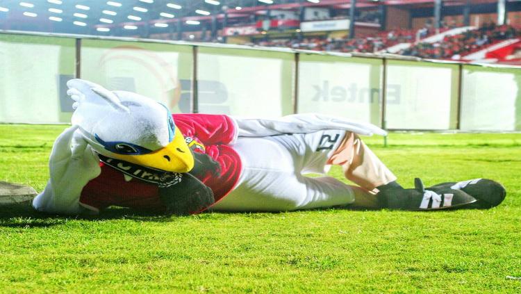 Maskot Bali United, Jalbo Copyright: North Side Boys 12