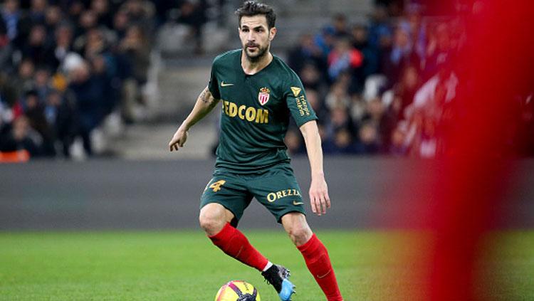 Cesc Fabregas, playmaker AS Monaco.