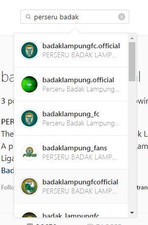 Akun Instagram Perseru Badak Lampung FC ada banyak Copyright: Instagram