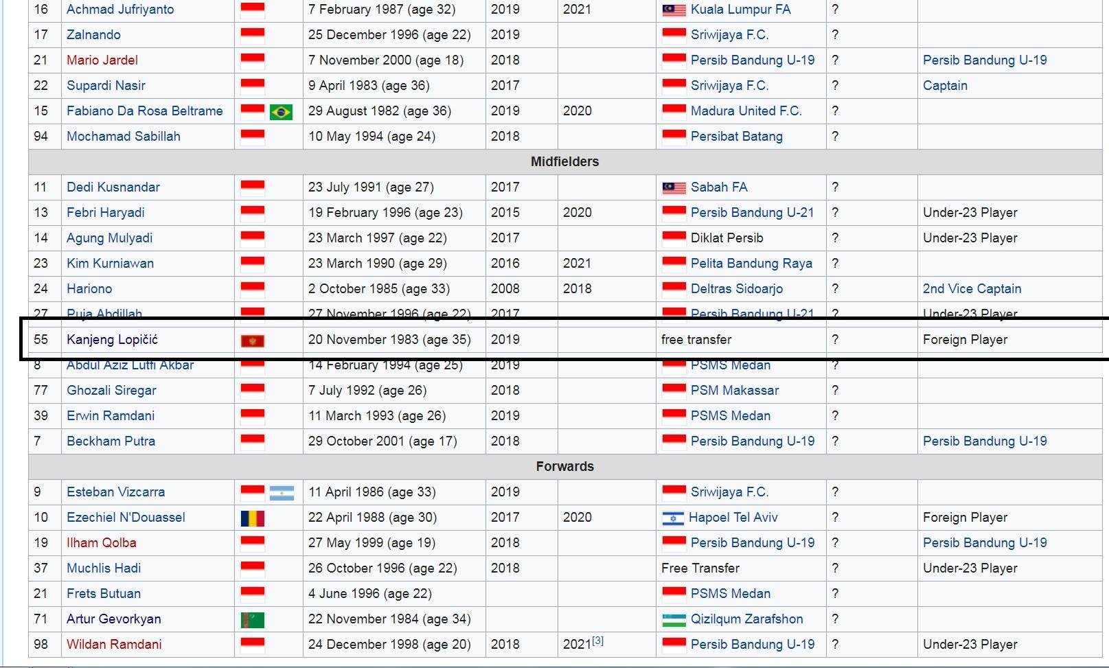 Nama pemain Persib Bandung, Srdan Lopicic jadi korban jahil netizen Copyright: en.wikipedia.org