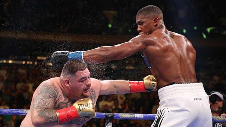 Anthony Joshua dan Andy Ruiz Jr saling pukul dalam pertarungan IBF/WBA/WBO. Al Bello/Getty Images - INDOSPORT