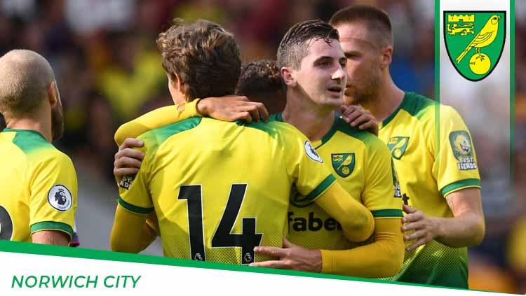 Profil tim Norwich City 2019/20.