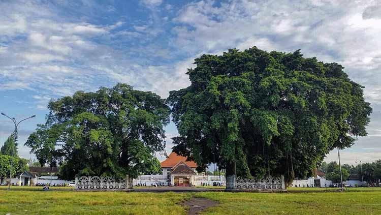 Alun Alun Kidul Yogyakarta. Copyright: limakaki.com