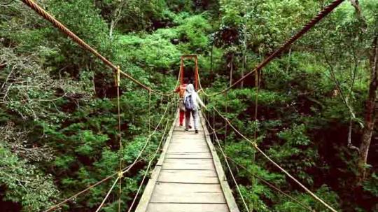 Taman Hutan Raya Ir. H. Juanda Copyright: Wikipedia