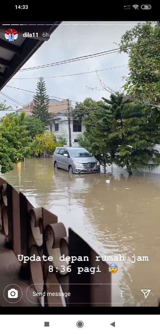 Kebanjiran, peraih medali emas SEA Games 2019, Aldila Sutjiadi, 