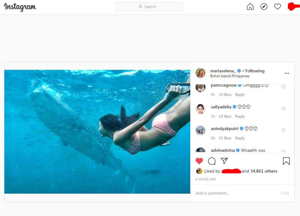 Seksi Saat Berenang Bareng Hiu Paus, Maria Selena Bikin Pusing Model Indonesia Copyright: instagram.com/mariaselena_