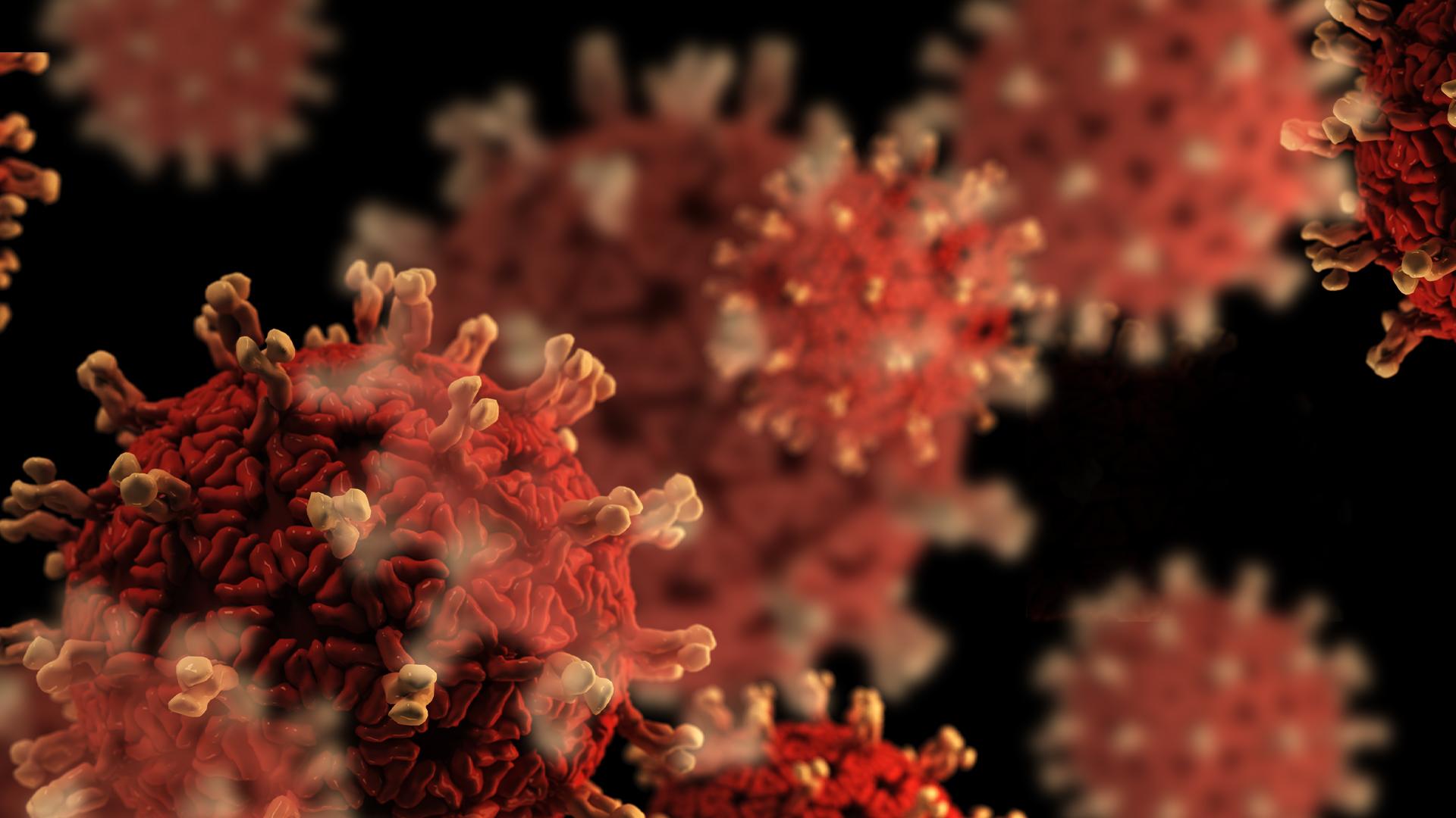 Ilustrasivirus corona.