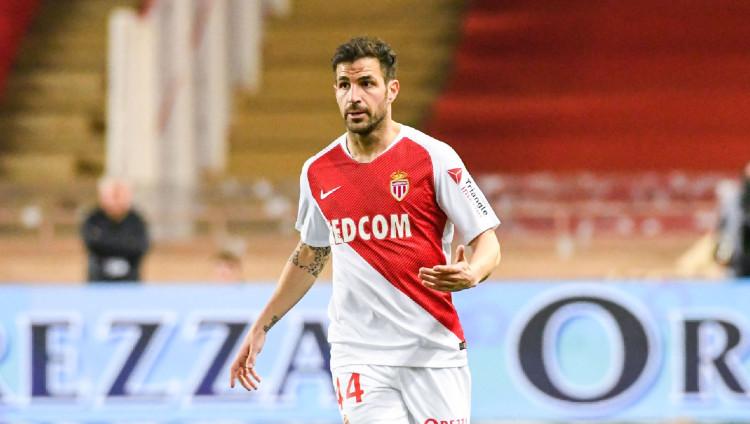 Cesc Fabregas saat masih emmperkuat klub Ligue 1 Prancis, AS Monaco. Musim ini ia bermain untuk Como 1907 di Serie B, Italia.