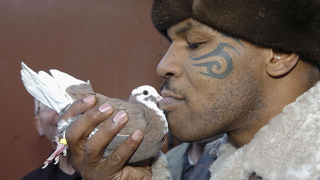 Mike Tyson mencium seekor burung Copyright: Stringer/Getty Images