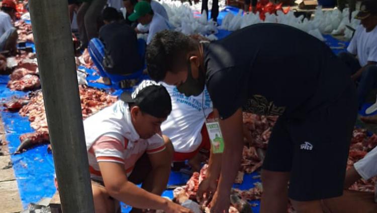 Frendi Saputra (kaos hitam) saat menjadi panitia Iduladha di kampung halamannya.