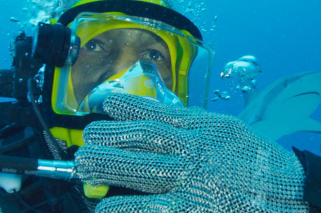 Mike Tyson menyelam bersama ikan hiu. Copyright: Discovery Channel