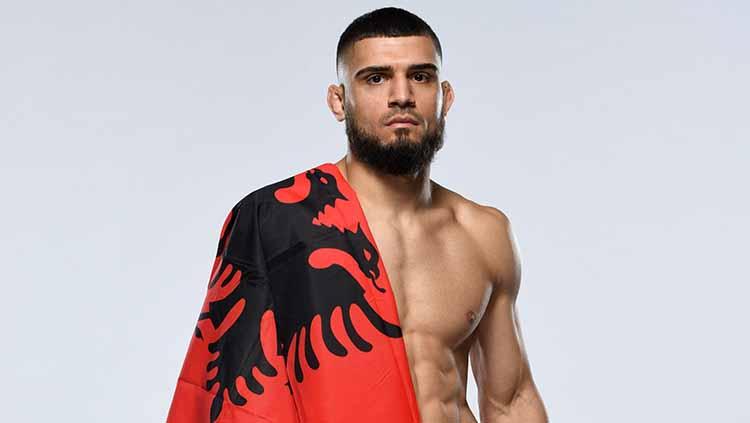 Ramiz Brahimaj, Petarung UFC