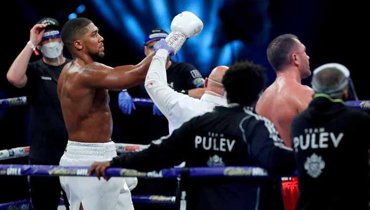 Anthony Joshua menang atas Kubrat Pulev dalam pertarungan gelar Juara Dunia Kelas Heayweight IBF, WBA, WBO dan IBO. - INDOSPORT
