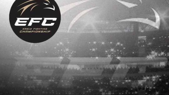 Logo Eagle Fighting Championship
