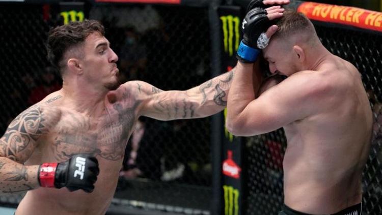 Duel UFC London antara Alexander Volkov vs Tom Aspinall. - INDOSPORT