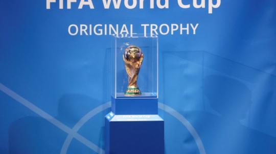 Melihat sepak terjang sejumlah negara Asia di Piala Dunia. Foto: Majid Asgaripour/WANA (West Asia News Agency) via REUTERS.