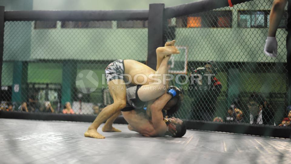 Ilustrasi pertarungan Mix Martial Arts (MMA) di Indonesia.