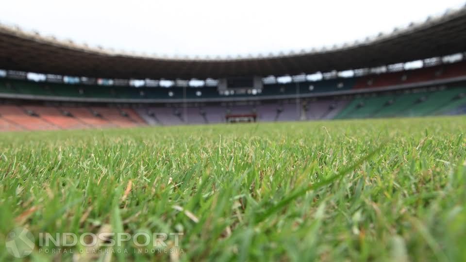 Kondisi rumput stadion GBK. Copyright: © Herry Ibrahim/INDOSPORT