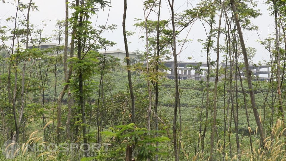 Hutan di sekitar Komplek Olahraga Hambalang Copyright: © Herry Ibrahim/INDOSPORT