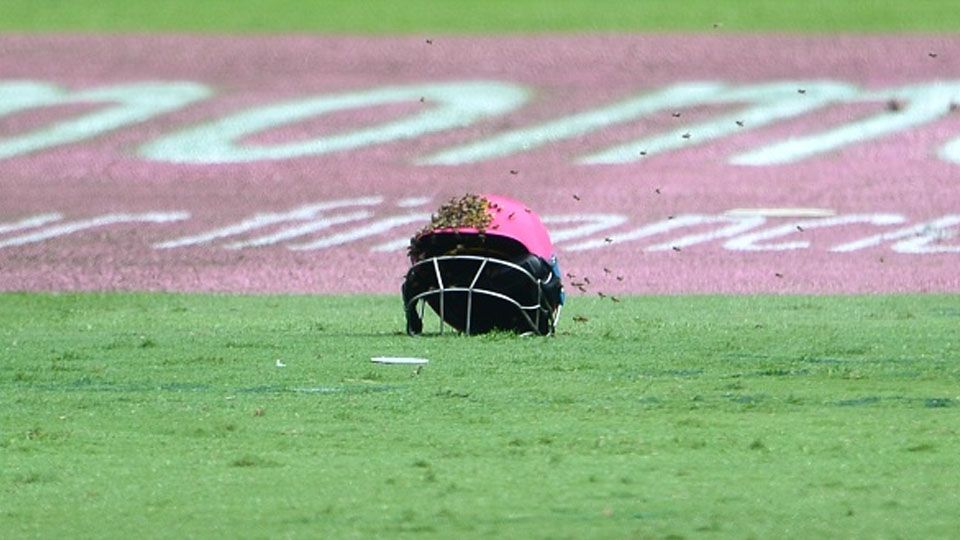 Salah satu helm atlet kriket diserang lebah. Copyright: © Lee Warren/Gallo Images/Getty Images